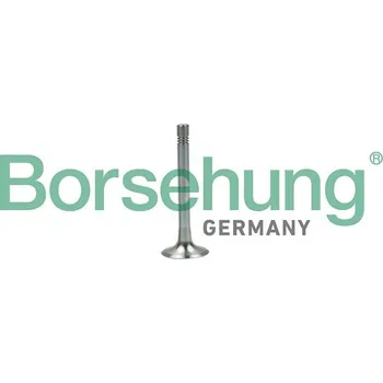Ventil motoru Borsehung B19003