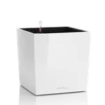 LECHUZA Cube Premium (kompletní set) Velikost: Cube Premium 30, Barva: Bílá lesk