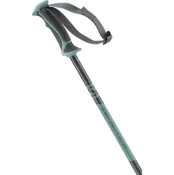 Sjezdové lyžování Salomon ARCTIC LADY Grey/Green 115