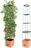 Bio Green Maxitom samozavlažovací květináč 25 cm, terracotta