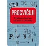 Procvičuj: Přídavná jména, zájmena,…