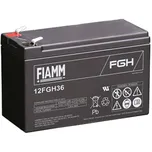 FIAMM 12FGH36