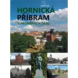 Hornická Příbram v proměnách času -…