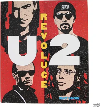 Literární biografie U2 Revoluce - Mat Snow