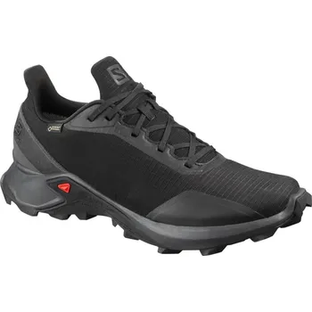 Pánská běžecká obuv Recenze Salomon Alphacross GTX L40805100