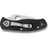 kapesní nůž Spyderco Persistence C136GP