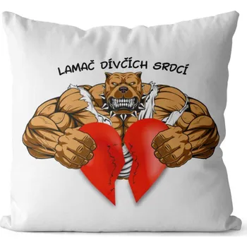 Dekorativní polštářek Polštář Lamač dívčích srdcí (Velikost: 40 x 40 cm)