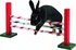 hračka pro malé zvíře Kerbl Agility střední překážka pro králíky a jiné hlodavce