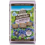 Forestina Hoštický substrát pro borůvky…