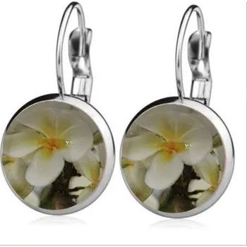 Náušnice Ocelové náušnice lekníny