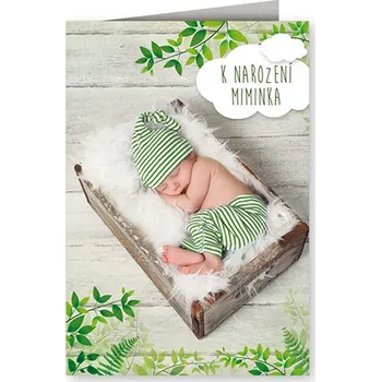 Nekupto Přání k narození dítěte hudební Z mechu a kapradí