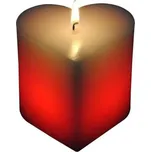 4Leaders Kouzelná svíčka srdce 100 g