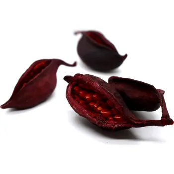 umělá květina Drydec.cz Brachyciton populneus red 4ks