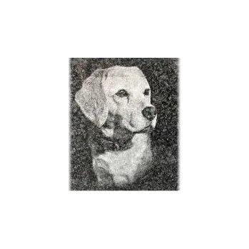 Smuteční dekorace Gravírovaný portrét mazlíčka na zvířecí pomník Urnový hrob Tarn s plastikou růže 100x100 cm