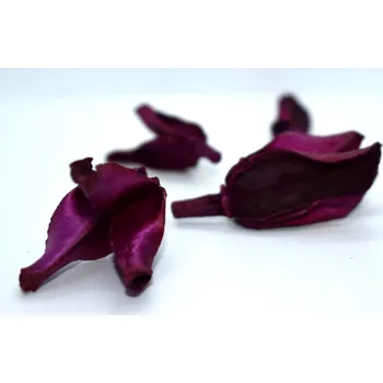 umělá květina Drydec.cz Bate Caixa fuchsia 4 ks