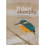 Prchavé okamžiky přírody: Fotoaparátem od jara do zimy - kolektiv autorů (2017, pevná)