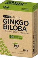 Vitar Ginkgo biloba 60 mg + DMAE + vitamín B6 EKO 60 cps.