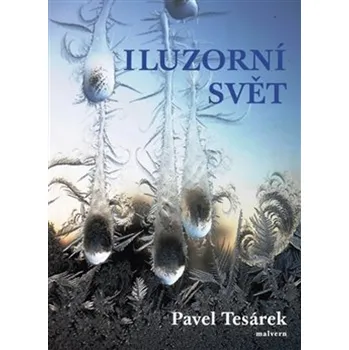Iluzorní svět - Pavel Tesárek