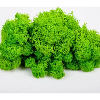 umělá květina Islandský stabilizovaný, preparovaný mech 1Kg světle zelená