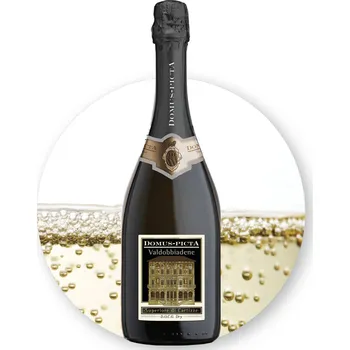 Domus Picta Prosecco Superiore di Cartizze DOCG Dry objem: 0,75L Špičková kvalita !