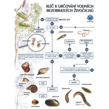 Rezekvítek Klíč k určování vodních bezobratlých