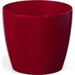 Orion Magnolia 21 cm