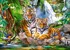 Puzzle Castorland Tygři u vodopádů 300 dílků
