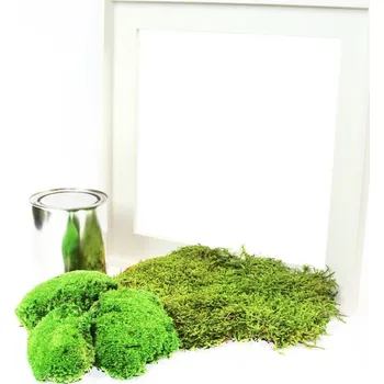 Obraz Gardners Mechový obraz "Vyrob si sám" 35x35 cm kombinovaný mech kopečkový s plochým, bílá