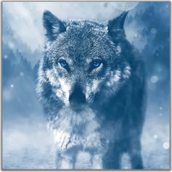 Obraz Malvis ® Obraz vlk v zimě Velikost (šířka x výška): čtverec - 30x30 cm