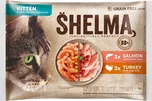 Shelma Cat Kitten losos/krůta 4x 85 g