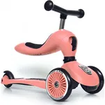 Scoot and Ride Highwaykick 1