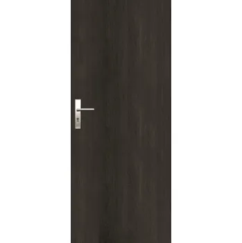 Interiérové dveře Naturel Entry jilm antracit ENTRYJA80P