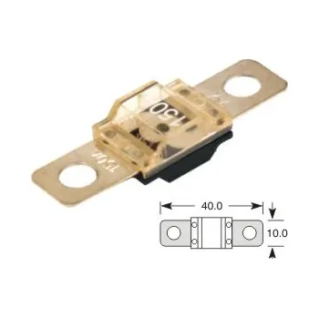 Autopojistky pojistka MIDI 70A, 40x10