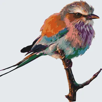 Malování podle čísel - Ptáček na větvi Velikost: 50x50cm, Rámování: Pouze srolované plátno