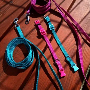 Obojek pro psa Obojek pro štěňata toy plemen XS - 16cm-21cm/10mm nylon Smarti fashion (Ručně šitý obojek pro psy - XS - 16cm-21cm/10mm Smarti fashion)