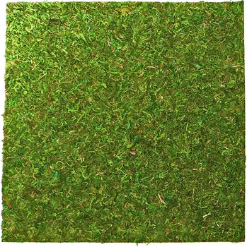 Dekorace do terária Repti Zoo Natural Moss Back&Bottom – mechové podloží 20x20cm