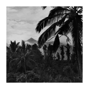 Zahraniční hudba LP Mystical Communication Service: The Fierce People 2016