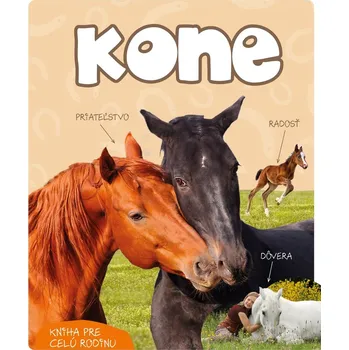 Kone - Dorota Kozińska