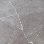 EBS Atelier Muse dlažba 60x60 grey