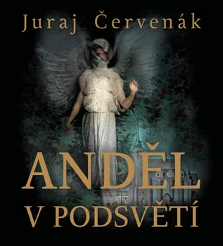 Anděl v podsvětí - Juraj Červenák (čte Marek Holý) [CDmp3]