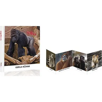 Leporelo Leporelo ZOO Mičánek 80x90mm