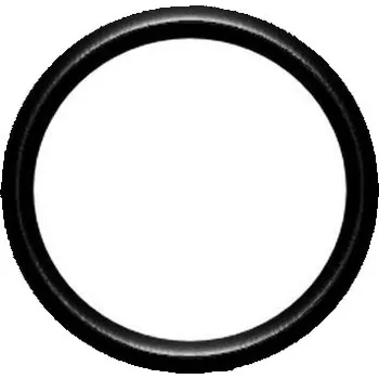 Vodovodní potrubí TIEMME COBRARING 40 O-kroužek TM3475G0040