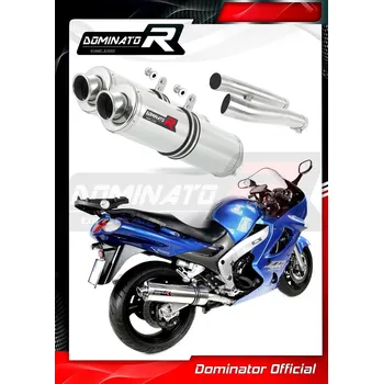 Výfuk pro motocykl Laděný výfuk DOMINATOR Kawasaki ZZR1200 02-05 KULATÉ KONCOVKY STANDART