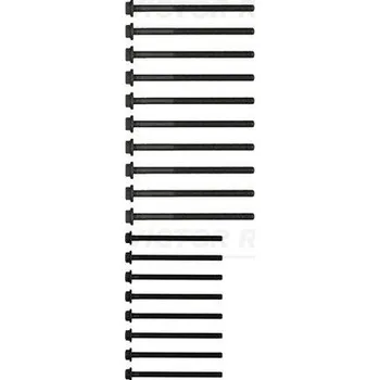 Spojovací materiál motoru Sada šroubů hlavy válce VICTOR REINZ 14-32204-01