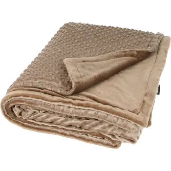 Dětská deka Deka dvouvrstvá 200 x 155 cm VIKY hnědá