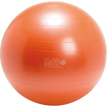 Gymnastický míč Gymnastický míč Gymnic Plus 65 cm Barva: Oranžová