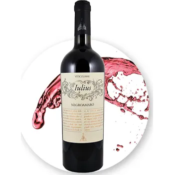 Víno Ionis Negroamaro IGP Salento Iulius 2024 objem: 0,75L Víno s širokou paletou vůní