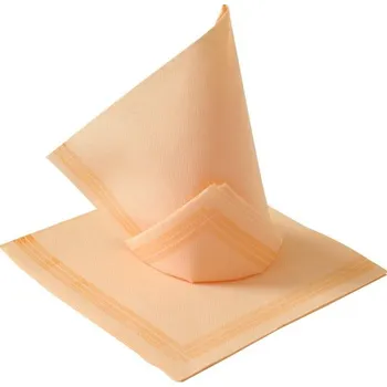 Papírový ubrousek Paper Design Ubrousky TENDANCE 38x38cm 2vrstvé 50ks Lososové