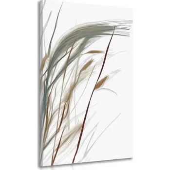 Obraz Dovido Obraz stébla trávy s nádechem minimalismu