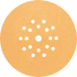 BOSCH Brusný papír C470, balení 25 ks 225 mm, 180 2608621038 Dostupné varianty: Brusný papír na suchý zip 225 mm Bosch C470/40 hrubost